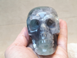 Fluoriet human skull