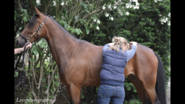 Behandeling osteopathie paard/pony