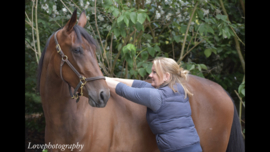 Behandeling osteopathie paard/pony