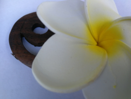 Knot speld. Bali palisander hout met witte frangipani bloem. 19 cm lang.