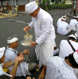 Authentieke offersticks van gedroogd gras. De 'Sasirat' wordt door de Hindu priesters bij ceremonies gebruikt om heilig water uit te sprenkelen. Per stuk. Max 1 product per complete  bestelling van min. 10 euro.  (Zonder verzendkosten)