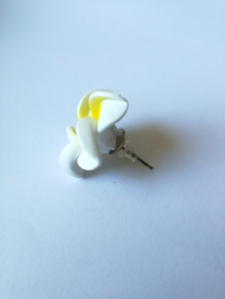 Frangipani oorstekers wit.Diameter 2 cm.