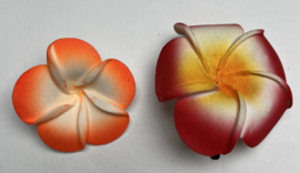 Rijkelijk gevuld cadeau tasje.