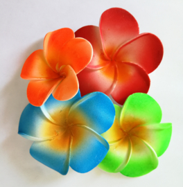 Losse strooi/decoratie Frangipani bloemetjes, de heilige Balinese bloem. Max. 1 product per complete  bestelling van min. 10 euro.  (Zonder verzendkosten)