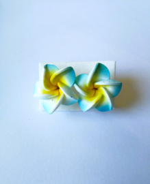 Frangipani oorstekers blauw. Diameter 2 cm.
