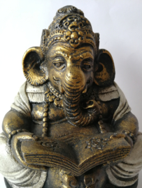 Schitterende grote Ganesha, lezend in de Veda.