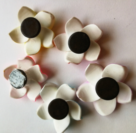 Zakje met 5 koelkastmagneetjes met de heilige  Balinese Frangipani bloem.