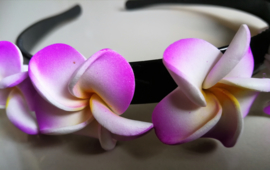Diadeem met lila frangipani bloemen. Kindermaat, stevig model.