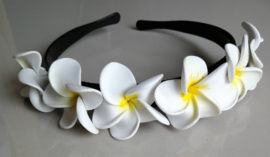 Diadeem met witte frangipani bloemen. Kindermaat, stevig model.