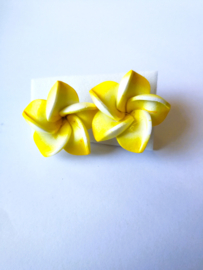 Frangipani oorstekers geel Diameter 2 cm.