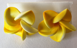 Frangipani oorstekers geel Diameter 2 cm.