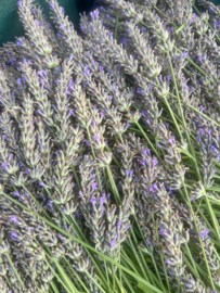 Pure biologische lavendel olie 5 ml.