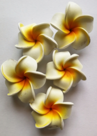 Zakje met 4 koelkastmagneetjes met de heilige  Balinese Frangipani bloem.