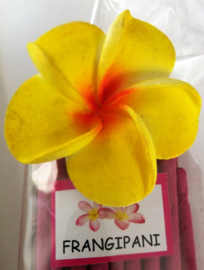 Wierook pakje met  +/- 20 stokjes frangipani en handgemaakt stenen houdertje.
