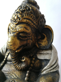 Schitterende grote Ganesha, lezend in de Veda.