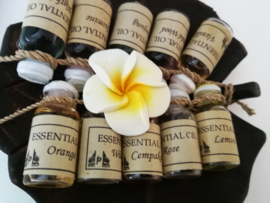 Lotus blad met 10 essentiele olietjes van 4,5 ml.