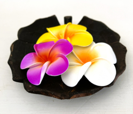 Lotus blad met drie heilige Frangipani bloemetjes.