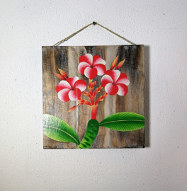 Houten wandpaneel  Frangipani wit/rood/roze. 30,5 x 30,5 x 4 cm. Handwerk uit Ubud, geschilderd op juthout.