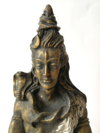 Lord Shiva, het allerhoogste wezen uit  het Hindoeïsme.