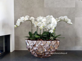 Schelpenvaas ovaal met orchideeën (Pearl)