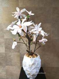 Schelpenpot met Magnolia  (24x17)
