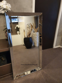 Spiegel met spiegelrand (70x130)