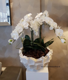 Schelpenvaas Bowl opgemaakt met orchidee - parelmoer wit