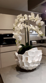 Schelpenvaas 'Broken Bowl' met orchidee - parelmoer wit
