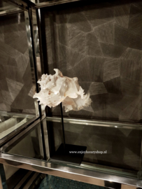 Schelp op standaard (2)