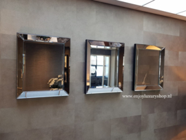 Spiegel met spiegellijst zilver (50x60)