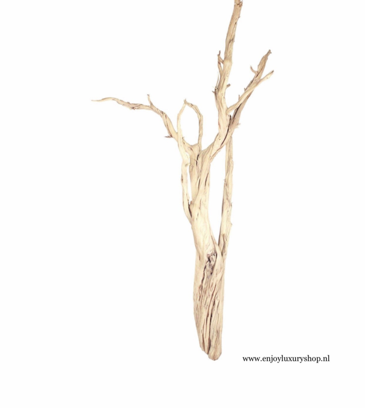 beoefenaar Inzichtelijk voordeel Ghostwood Takken L (160-175cm) | Opgemaakte Schelpvazen & Potten | Enjoy  Luxury Shop