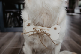 Ringbeveiliger | hond