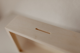 Geld geven bruiloft | fotolijstje spaarpot