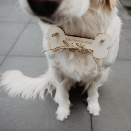 Ringbeveiliger | hond