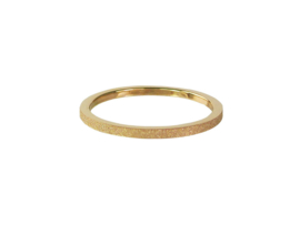 Ring Sanded Gold Steel