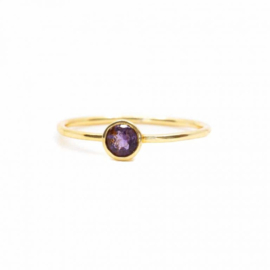 Geboortesteen Ring Amethist Februari – 925 Zilver Verguld (Maat 17