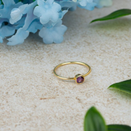 Geboortesteen Ring Amethist Februari – 925 Zilver Verguld (Maat 17