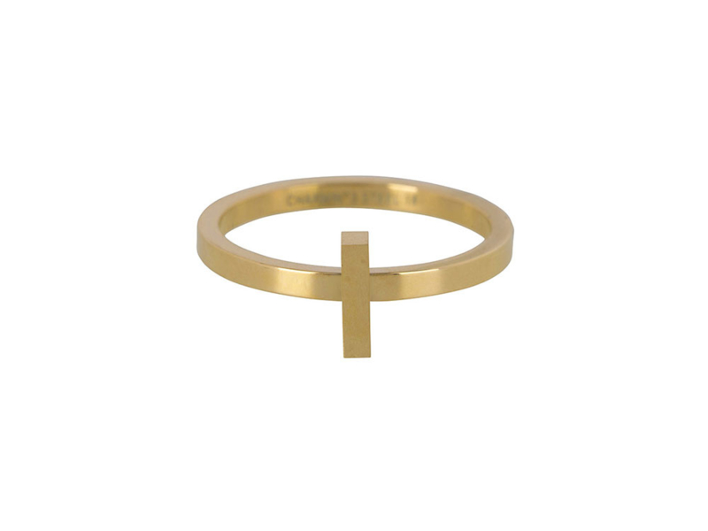 Ring Hope Gold Steel