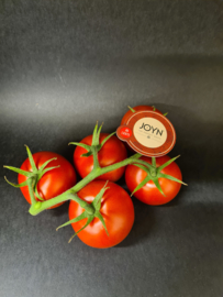 'Joyn' tomaatjes