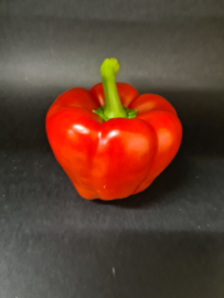 Paprika rood