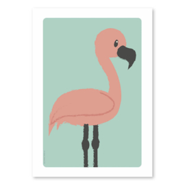 A4 Flamingo