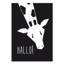 A4 Giraffe 'hallo!'