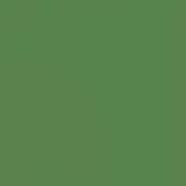 Designer Essentials Solids CFSFSESS.GRASS