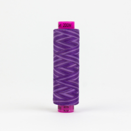 Tutti Blueberry TUS-18
