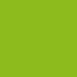 Painter'S Palette Solids C Apple green 121-076