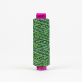 Tutti Evergreen TUS-31