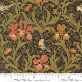 Iris in Ebony Morris Muse 13380-15