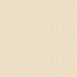 Christmas Wish DV7631