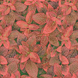Kaffe Fassett collective August 2024 PWPJ129.RED