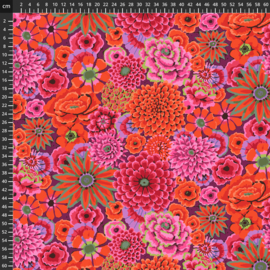 Kaffe Fassett Stash 8200-052